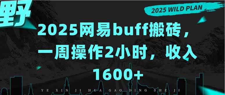 （15666期）2025网易buff搬砖，一周操作2小时，收入1600+-创盈坊