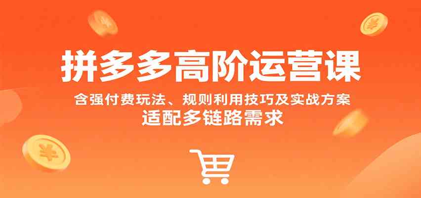 拼多多高阶运营课，含强付费玩法、规则利用技巧及实战方案，适配多链路需求-创盈坊