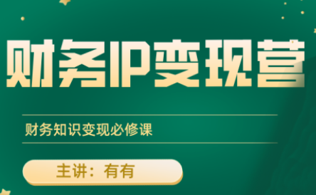 有有老师·财务IP变现营，财务知识变现必修课-创盈坊